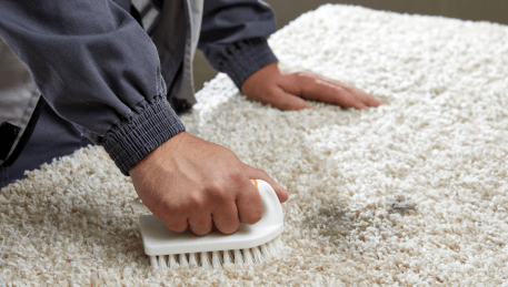 Professional Rug Cleaning Williams Landing